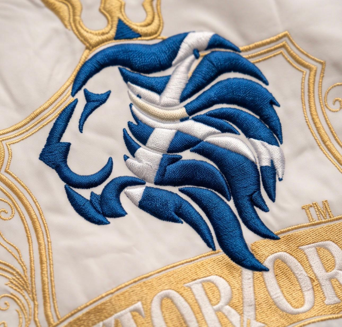 Viktor-Orious Scotland jacket — Scotland2.png